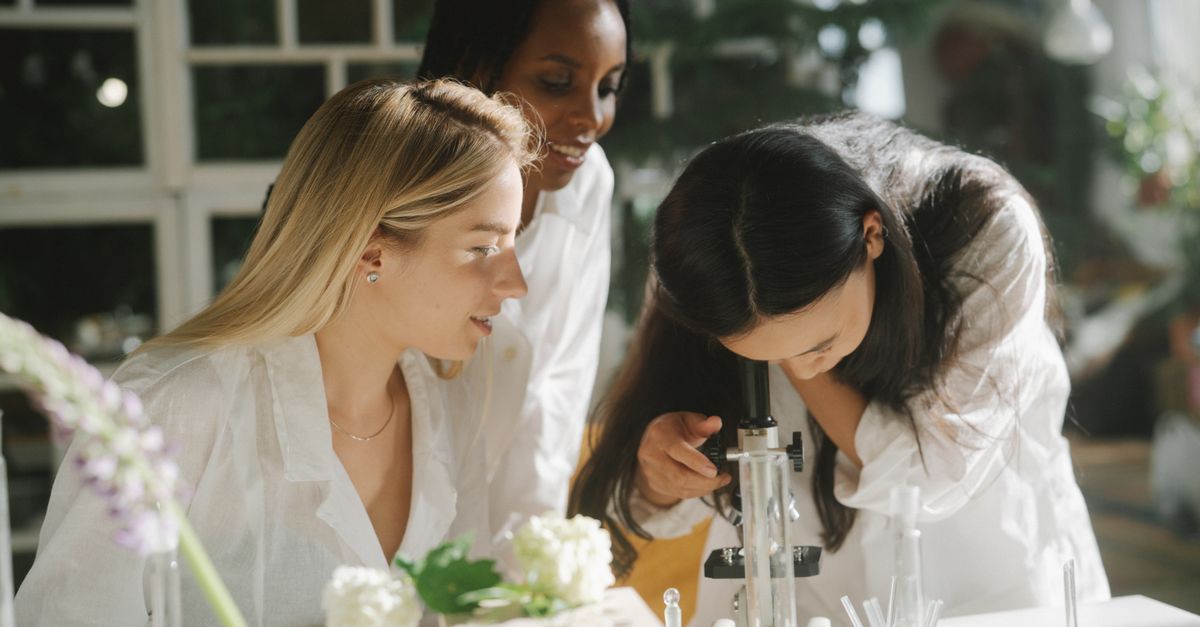 Career Options After BSc IT: Exploring Opportunities in the Tech World