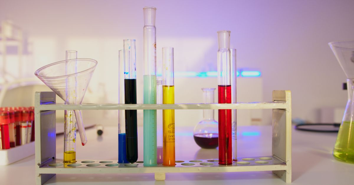 Is a BSc Worth It? A Thorough Examination for Youngsters